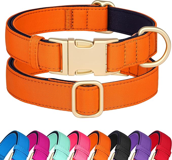 Didog Soft Padded Dog Collars for Small Dogs, Waterproof and Durable Pet Collar with Quick Release Buckle, Light and Breathable for Daily Walking,Orange,S(Neck:10-15")