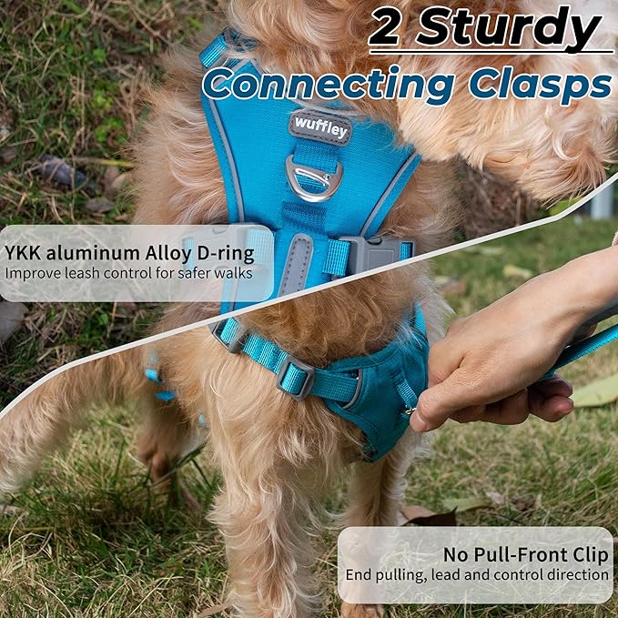 Escape Proof Dog Harness and Leash Set, Lightweight Dog Harness with Lift and Assist Handle, No Pull Reflective Pet Vest for Small Medium Dogs, Ideal for Puppy Walking and Training (Blue, XS)