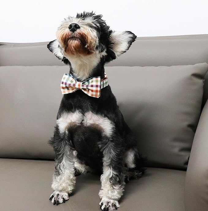 Unique Style Paws Cotton Dog Collar with Bow Floral Plaid Colorful Dog Collar with Bow Tie for Small Medium Large Dogs Pets Gifts