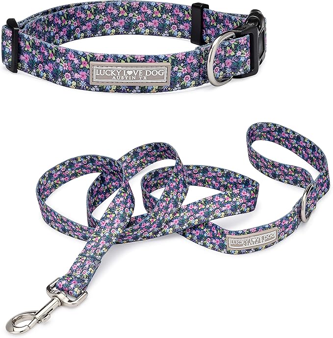 Lucky Love Dog - Easy Click Buckle Dog Collar with Leash Set Combo, Durable & Comfortable Collar for Male & Female Dogs, Pet Collar for Small to Large Dogs, Secure Fit - Primrose Combo, Medium