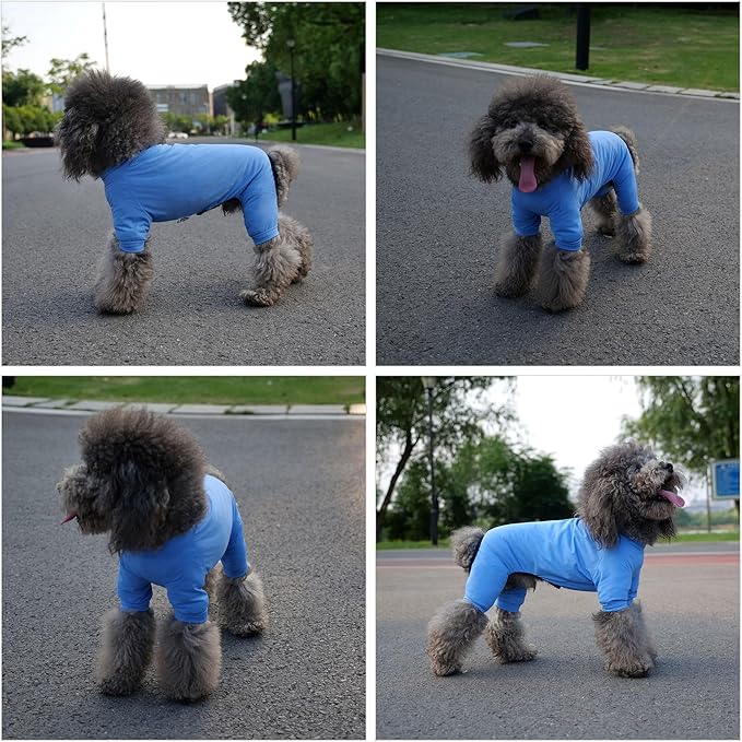 LoveLongLong Dog Jumpsuit with UV Protection and Quick-Dry Fabric for Spring Summer Pet Pajamas Sea Blue XS
