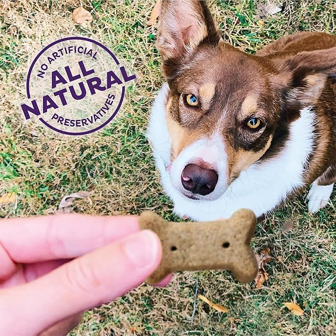 Old Mother Hubbard Wellness Original Mix Dog Biscuits, Natural, Training Treats, Four Flavors, Small Size, (6 Pound Bag)