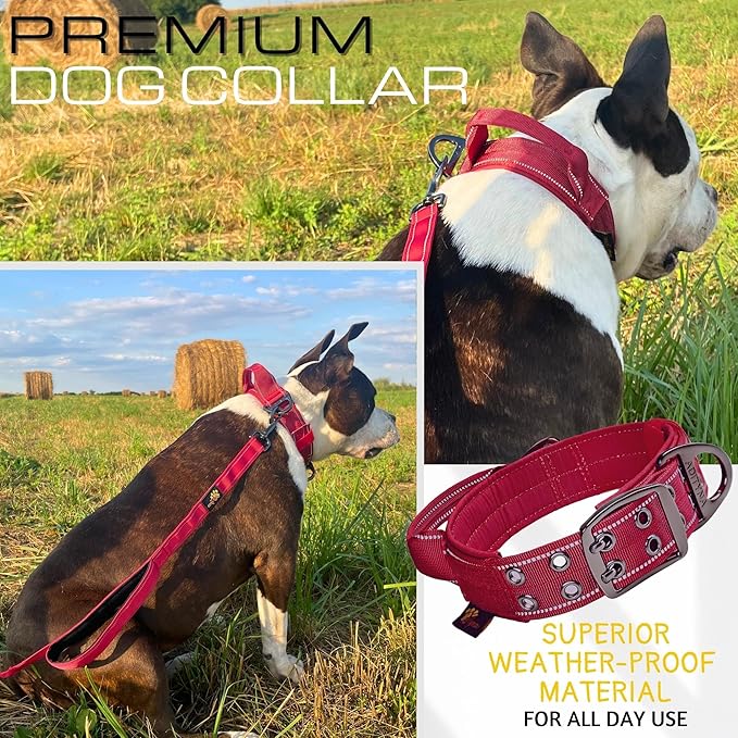 ADITYNA Heavy Duty Dog Collar for Large Dogs - Reflective Burgundy Collar with Handle for Training, and Walking - Wide, Thick, Tactical, Soft Neoprene Padded