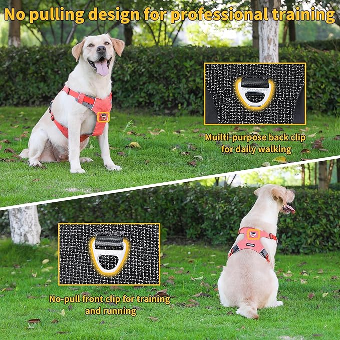 Dog Harness, Easy Walk Pet Harness No Pull with 2 Leash Clips, Reflective Running Soft Padded Adjustable Puppy Vest, Heavy Duty Seatbelt Harness for Car for Small Dogs (Orange, XL)