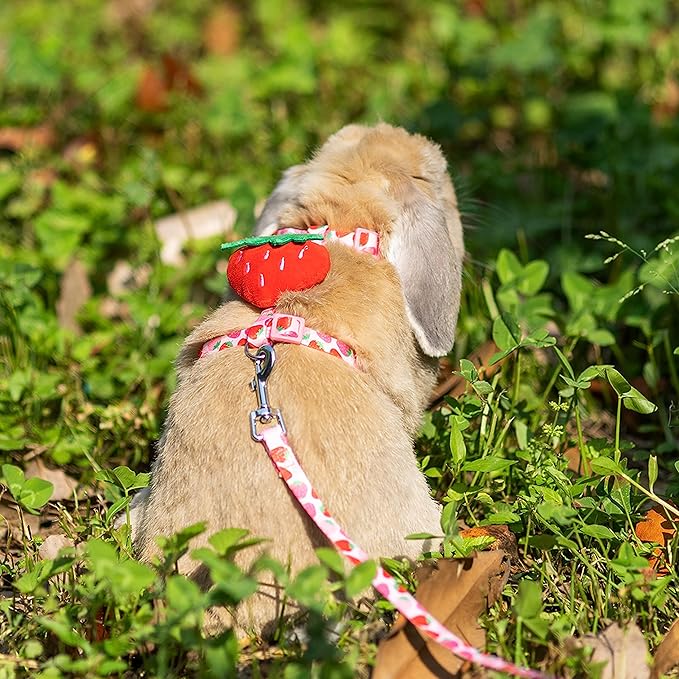 Rabbit Harness and Leash - Adjustable Bunny Harness Escape Proof for Walking Running Hiking Camping Outdoor - Pink Strawberry Pattern Cute Small Animal Harness Leash Set
