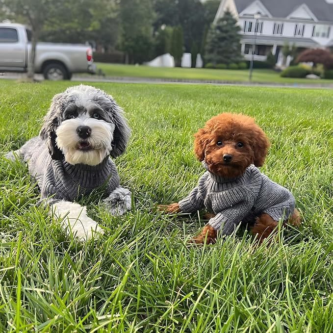 Fitwarm Dog Turtleneck Sweater, Thermal Knitted Pet Coat, Dog Winter Clothes for Small Dogs, Cat Apparel, Heather Grey, XXL