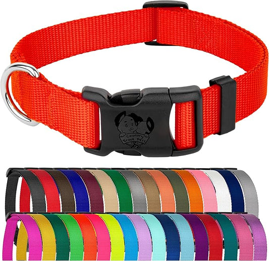 Country Brook Petz - American-Made Dog Collar for Large, Medium, and Small Dogs and Puppies - Deluxe Heavy Duty Nylon in 33 Dazzling Colors (3XS, 3/8 Inch Wide, Hot Orange)