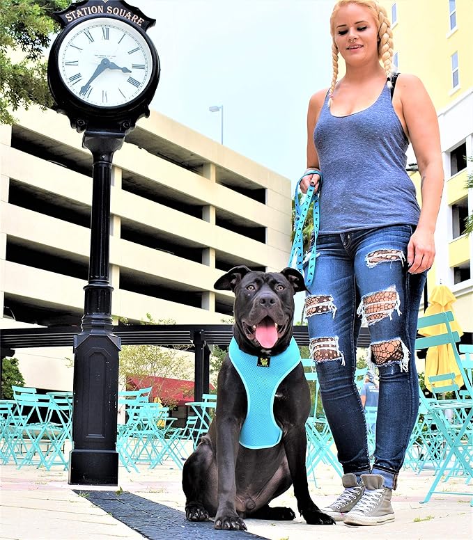 Classic Dog Harness Innovative Mesh No Pull No Choke Design Soft Double Padded Breathable Vest for Eco-Friendly Easy Control Walking for Large Puppies Full Size Breeds & Extra Large Dogs (XXL, Blue)