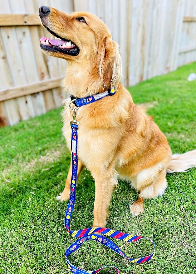 Lucky Love Dog - Easy Click Buckle Dog Collar with Leash Set Combo, Durable & Comfortable for Male & Female Dogs, Pet Collar for Small to Large Dogs, Secure Fit - Mackey Combo, Medium