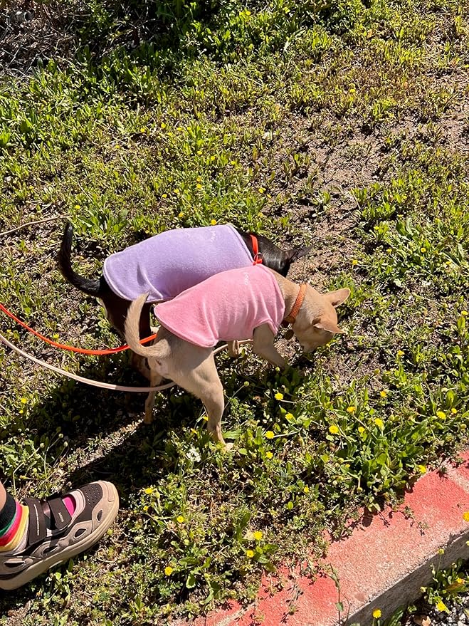 Little Beast Dog Clothes, Pet Clothes for Large, Medium and Small Dogs (Dog Shirts Come in Multiple Colors and Styles) - Size: XX-Small Dogs, Light Pink