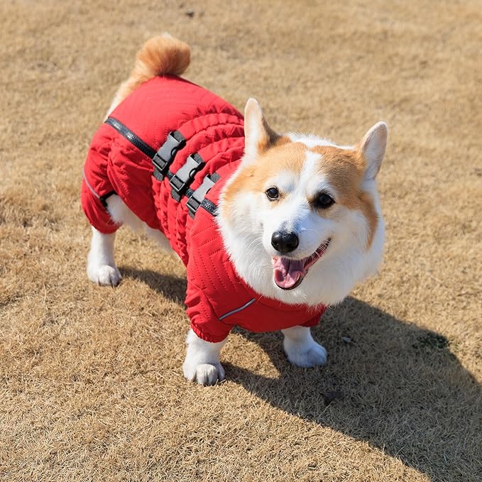 Lovelonglong Warm Coat Double Layers Vest, 4 Legs Covered Windproof Waterproof Reflective Outdoor Skating Costume for Corgis Dachshund Red D-M