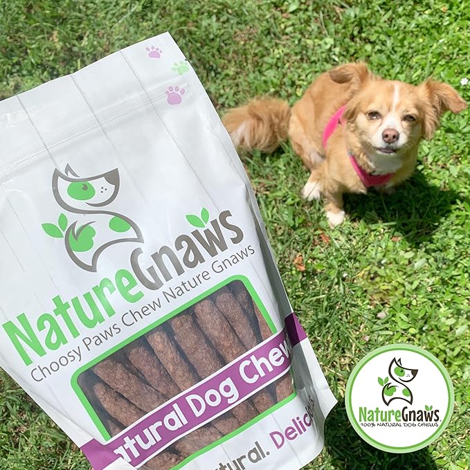 Nature Gnaws Beef Chew Sticks for Dogs 1LB - Premium Natural Dog Treats - Limited Ingredient Long Lasting Rawhide Free Dental Chews