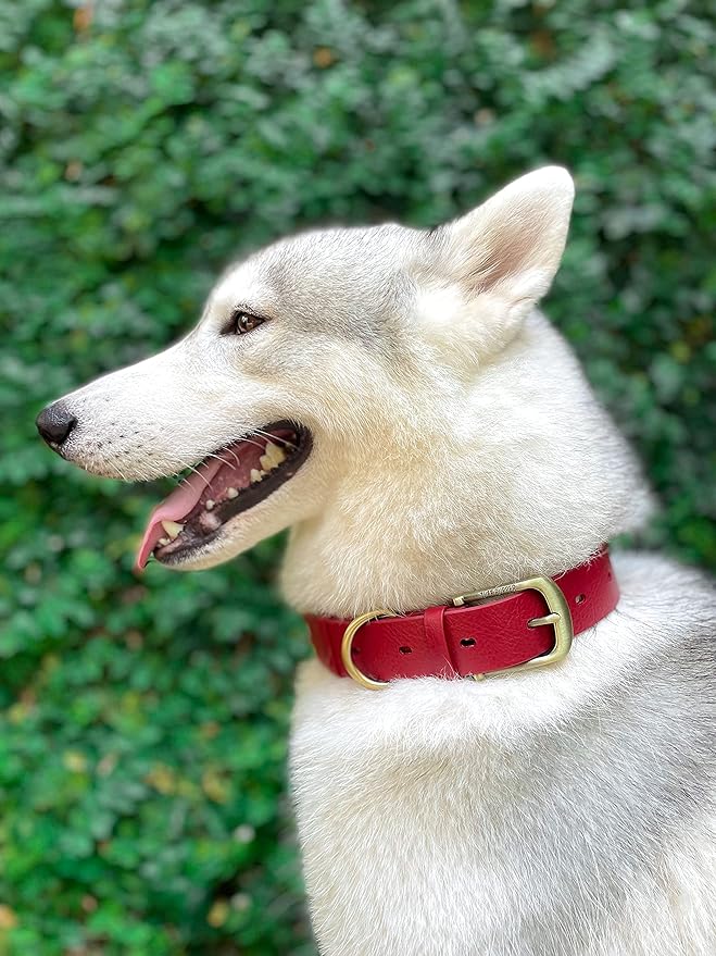 Tuff Pupper Classic Heavy Duty Dog Collar | 10x Stronger Than Leather | 100% Waterproof & Odor Proof Dog Collar | Tough Rust-Proof All Metal Hardware
