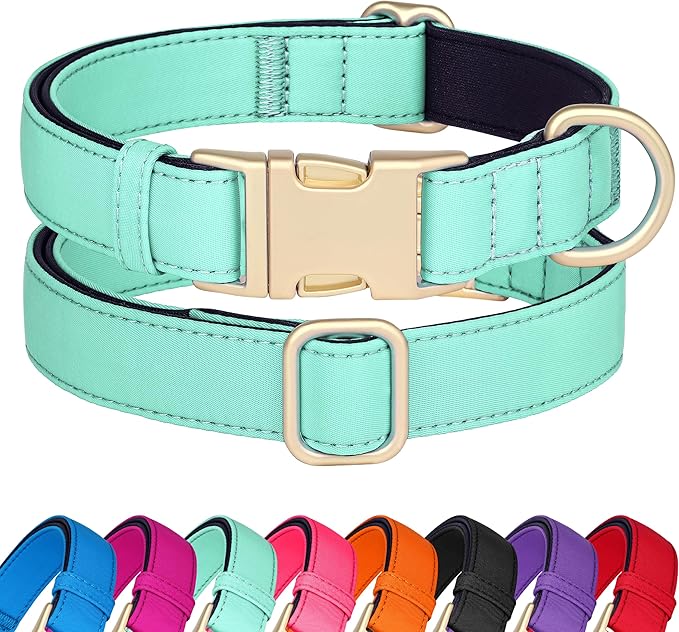 Didog Soft Padded Dog Collar for Large Dogs, Waterproof and Durable Pet Collar with Quick Release Buckle, Light and Breathable for Daily Walking,Green,L(Neck15-23)