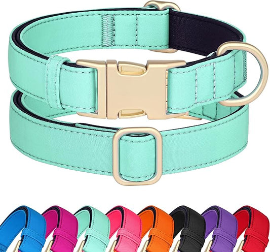 Didog Soft Padded Dog Collars for Small Dogs, Waterproof and Durable Pet Collar with Quick Release Buckle, Light and Breathable for Daily Walking,Green,S(Neck:10-15")
