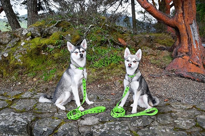 EcoBark Dog Leash - Soft & Reflective Comfort Training Leashes with Padded Handle - Strong Durable Heavy Duty - Training and Pulling for Small, Medium or Large Dogs (Green)