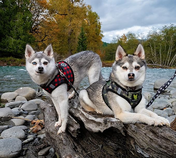 EcoBark Step in Dog Harness - Eco-Friendly Dog Harnesses for Small and Medium Breed Dogs - Reflective and Adjustable Mini Body Halter Vest -Soft Mesh Toy Breed Harness (Camo, Medium)