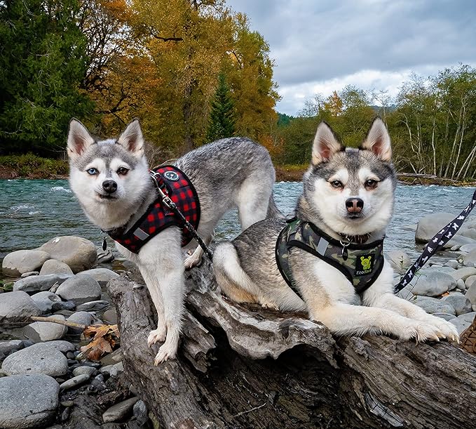 EcoBark Teacup Dog Harness - Step in Luxury Soft Reflective Halter - Ultra Padded Mesh - Comfortable & Secure Halter Vest