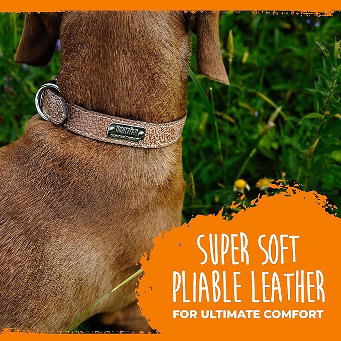 Mighty Paw Leather Dog Collar - Genuine Distressed Leather - Strong Metal Buckle - Ultimate Comfort - Modern Style for All Dogs Breeds - Comfort Puppy Collar - (Medium - Lite Brown)