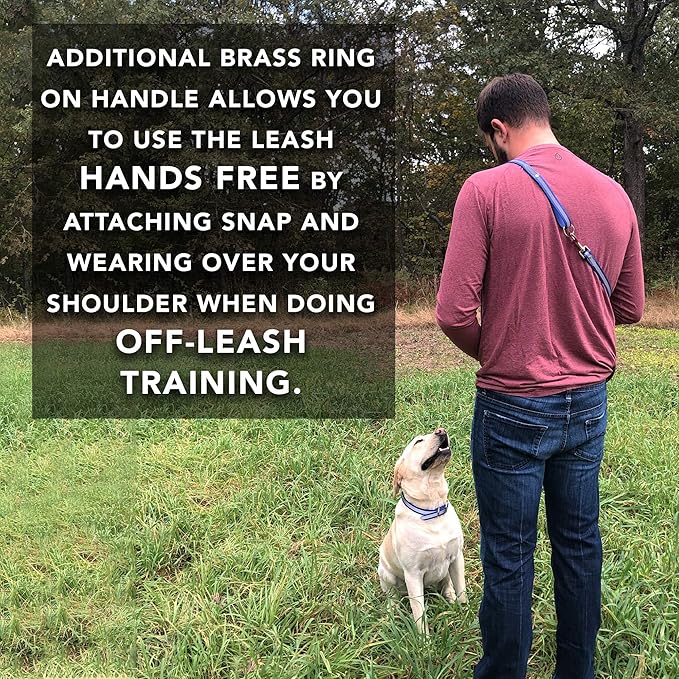 Regal Dog Products Heavy Duty Reflective Dog Collar – Adjustable with Metal Buckle and D Ring, Chew Resistant, Waterproof Dog Collar for Small Medium and Large Dogs (Large Collar and Leash, Pink)