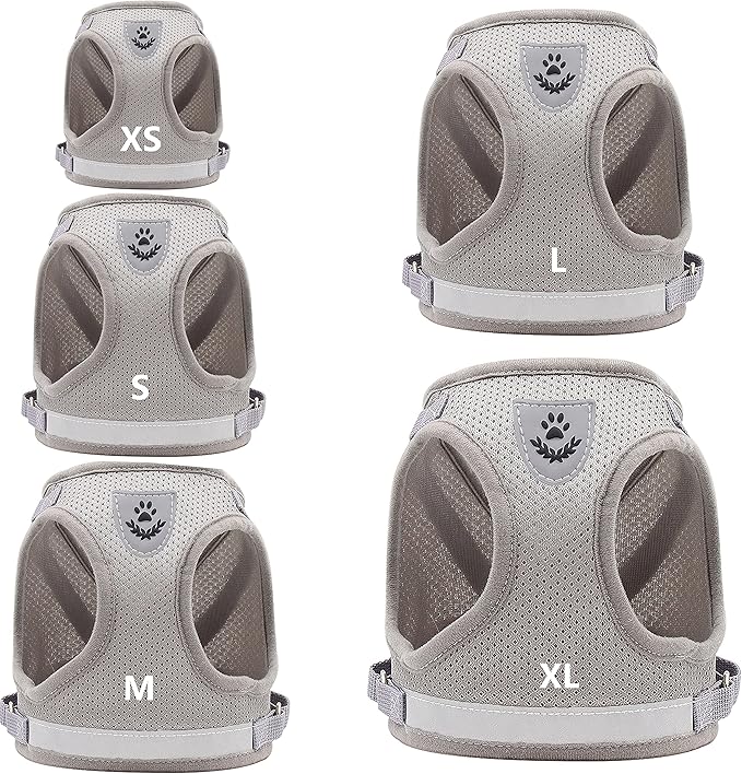 Step in Dog Harness and Leash Set,Reflective Adjustable Soft Mesh Breathable Pet Vest Dog Harnesses Set, No Chock No Pull Padded Puppy Harnesses for Small Dogs and Cats (Gray, Small)