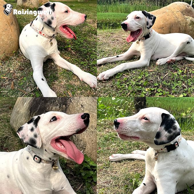 Cute Dog Collar Beige Flower Pattern for Boys and Girls Holiday Dog Collars Summer Fall Gift Adjustable for Small to Medium Breed Dogs (S)