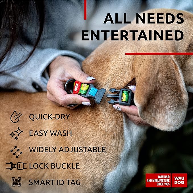 WAUDOG Nylon Dog Collar - Adjustable Dog Collar for Large Dogs, Small & Medium Dogs - Breakaway Puppy Collars for Large Breed Dogs - Boy & Girl Dog Collars with Durable Plastic Buckle and QR Dog Tag