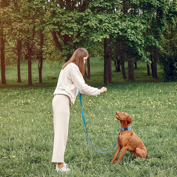 Reflective Dog Collar with Safety Locking Buckle, Adjustable Soft Breathable Nylon Collars for Small, Medium and Large Dogs(Collar+Leash S Width 5/8" Sky Blue)