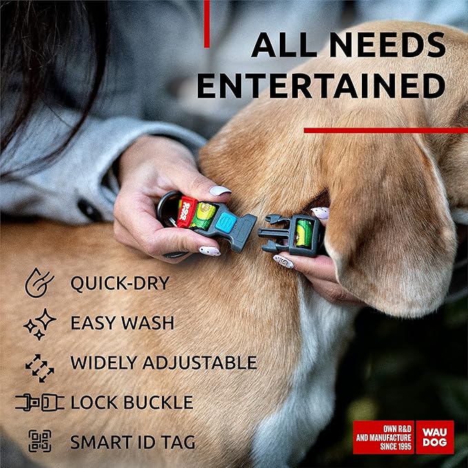 WAUDOG Nylon Dog Collar - Adjustable Dog Collar for Large Dogs, Small & Medium Dogs - Breakaway Puppy Collars for Large Breed Dogs - Boy & Girl Dog Collars with Durable Plastic Buckle and QR Dog Tag